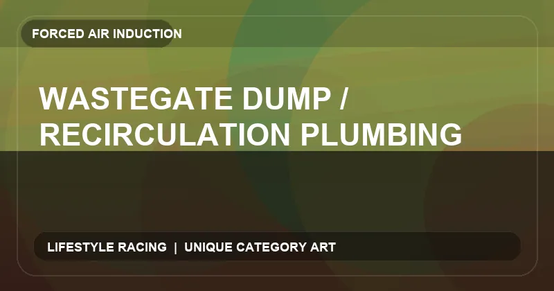 Wastegate Dump / Recirculation Plumbing